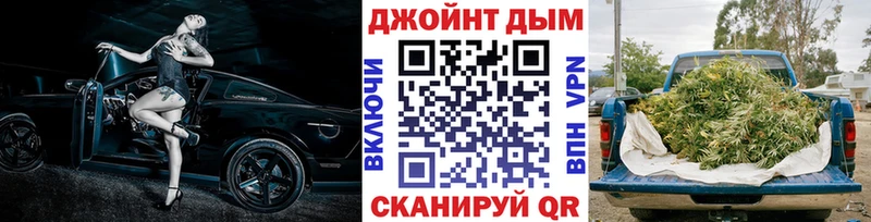 Каннабис план  Болохово 